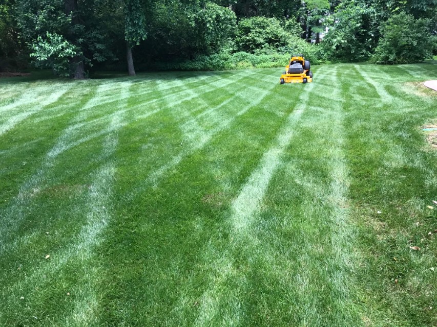 Lawn Mowing Mechanicsville And Hanover, Ed’s Landscaping Mechanicsville Virginia