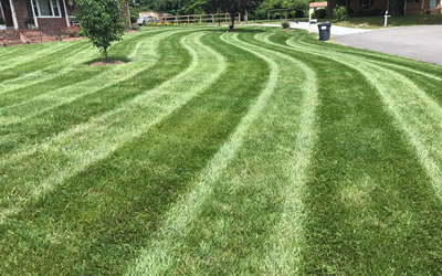 Lawn Care Provider Hanover County VA
