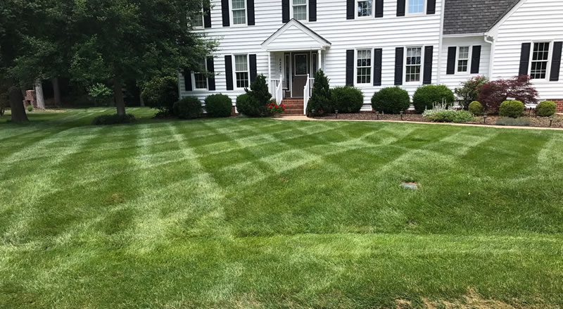 Lawn Care Services Mechanicsville And Hanover County Virginia.