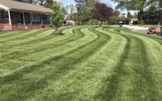 Lawn Care Services Hanover County Virginia.