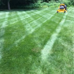 Lawn Mowing Service Hanover County and Mechaniscille Virginia.