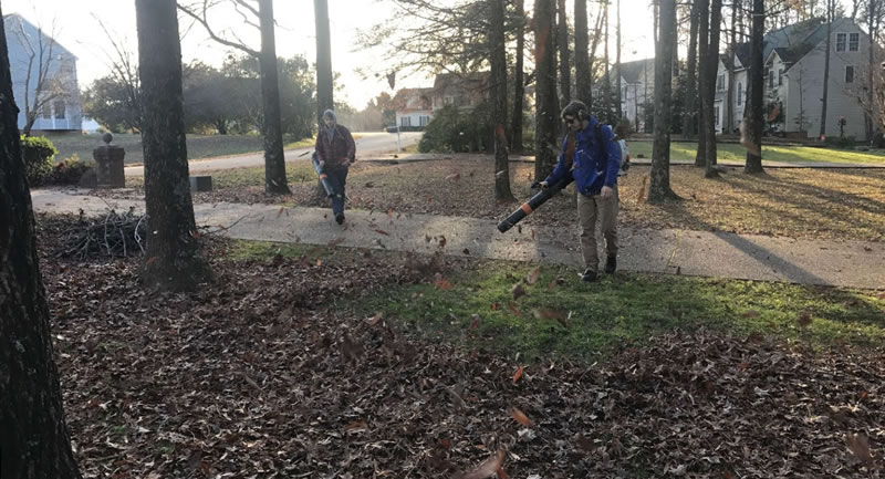 Leaf Clean Up And Removal