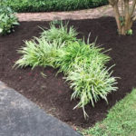 Mulch Installation And Spreading Hanover County, Virginia.