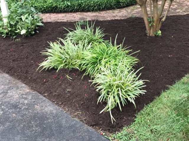 Mulch Installation And Spreading Hanover County, Virginia.