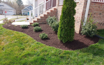 Mulch Installed Mechanicsville